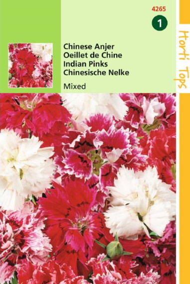 Chinese Anjer (Dianthus chinensis) 675 zaden HT